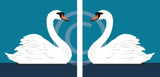 Swan