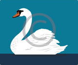 Swan