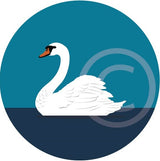 Swan