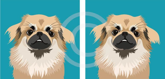 Tibetan Spaniel – Cornishbirdinthesticks - Main Image