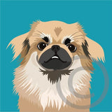 Tibetan Spaniel