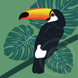 Toucan