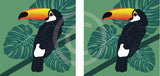 Toucan