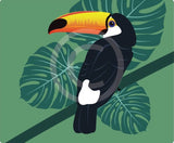 Toucan