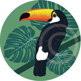 Toucan