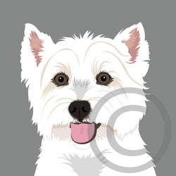 West Highland Terrier