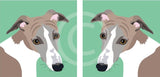 Whippet