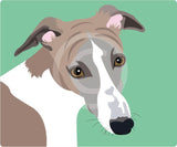 Whippet