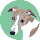 Whippet