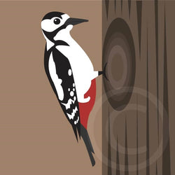 Woodpecker