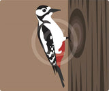 Woodpecker
