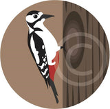 Woodpecker
