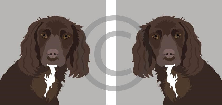 Cornish Cocker Spaniel Working Cocker Spaniel – Cornishbirdinthesticks