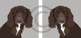 Working Cocker Spaniel