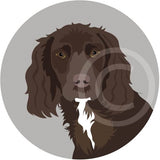 Working Cocker Spaniel