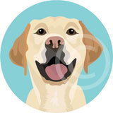 Yellow Labrador